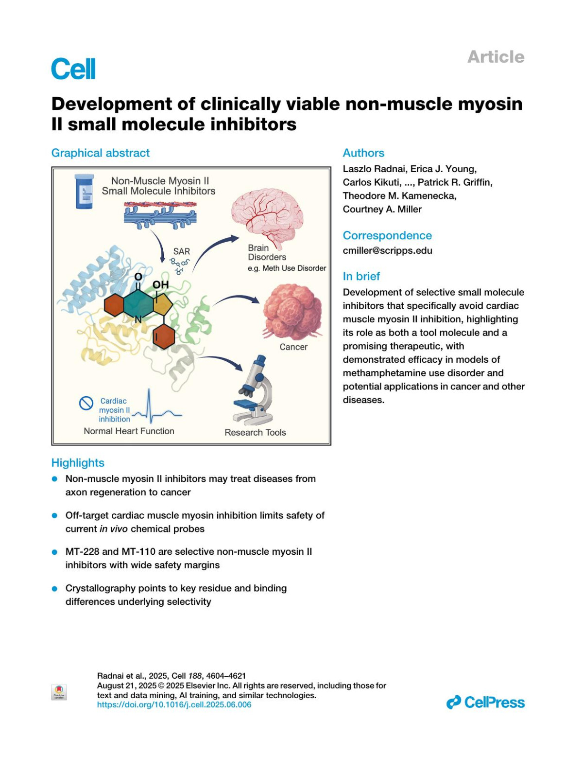 Development Of Clinically Viable Nonmuscle Myosinii Small Molecule Inhibitors Laszlo Radnai Erica J Young Carlos Kikuti Katalin Toth Minghai Zhou Madalyn Hafenbreidel Rebecca F Stremel Li Lin Paolo Pasetto Xiaomin Jin Aagam Patel Michael Conlon Sherri B Briggs Leïla Heidsieck H Lee Sweeney James
