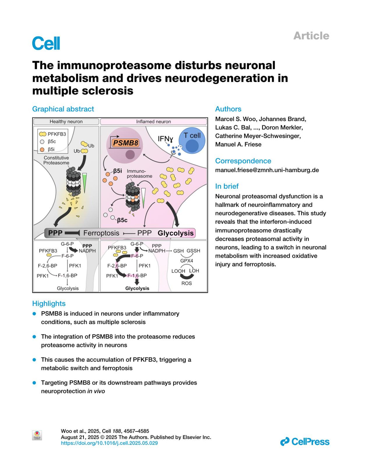 The Immunoproteasome Disturbs Neuronal Metabolism And Drives Neurodegeneration In Multiple Sclerosis Marcel S Woo Johannes Brand Lukas C Bal Manuela Moritz Mark Walkenhorst Vanessa Vieira Inbal Ipenberg Nicola Rothammer Man Wang Batuhan Dogan Desirée Loreth Christina Mayer Darwin Nagel Ingrid Wagner Lena Kristina Pfeffer