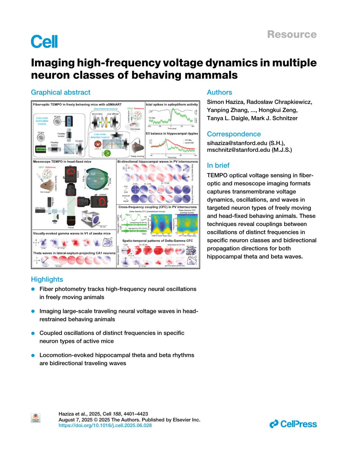 Imaging Highfrequency Voltage Dynamics In Multiple Neuron Classes Of Behaving Mammals Simon Haziza Radosław Chrapkiewicz Yanping Zhang Vasily Kruzhilin Jane Li Jizhou Li Geoffroy Delamare Rachel Swanson György Buzsáki Madhuvanthi Kannan Ganesh Vasan Michael Z Lin Hongkui Zeng Tanya L Daigle Mark J Schnitzer