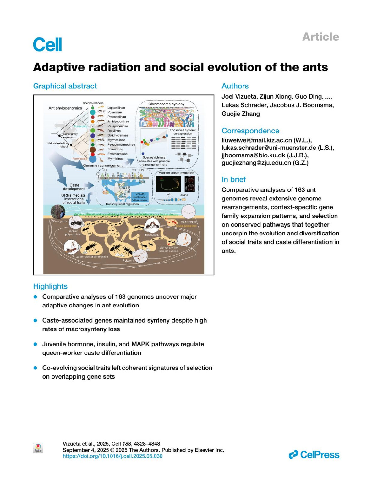 Adaptive Radiation And Social Evolution Of The Ants Joel Vizueta Zijun Xiong Guo Ding Rasmus S Larsen Hao Ran Qionghua Gao Josefin Stiller Wei Dai Wei Jiang Jie Zhao Chunxue Guo Xiafang Zhang Dashuang Zuo Wenjiang Zhong Morten Schiøtt Chengyuan Liu Hailin Zhang Xueqin