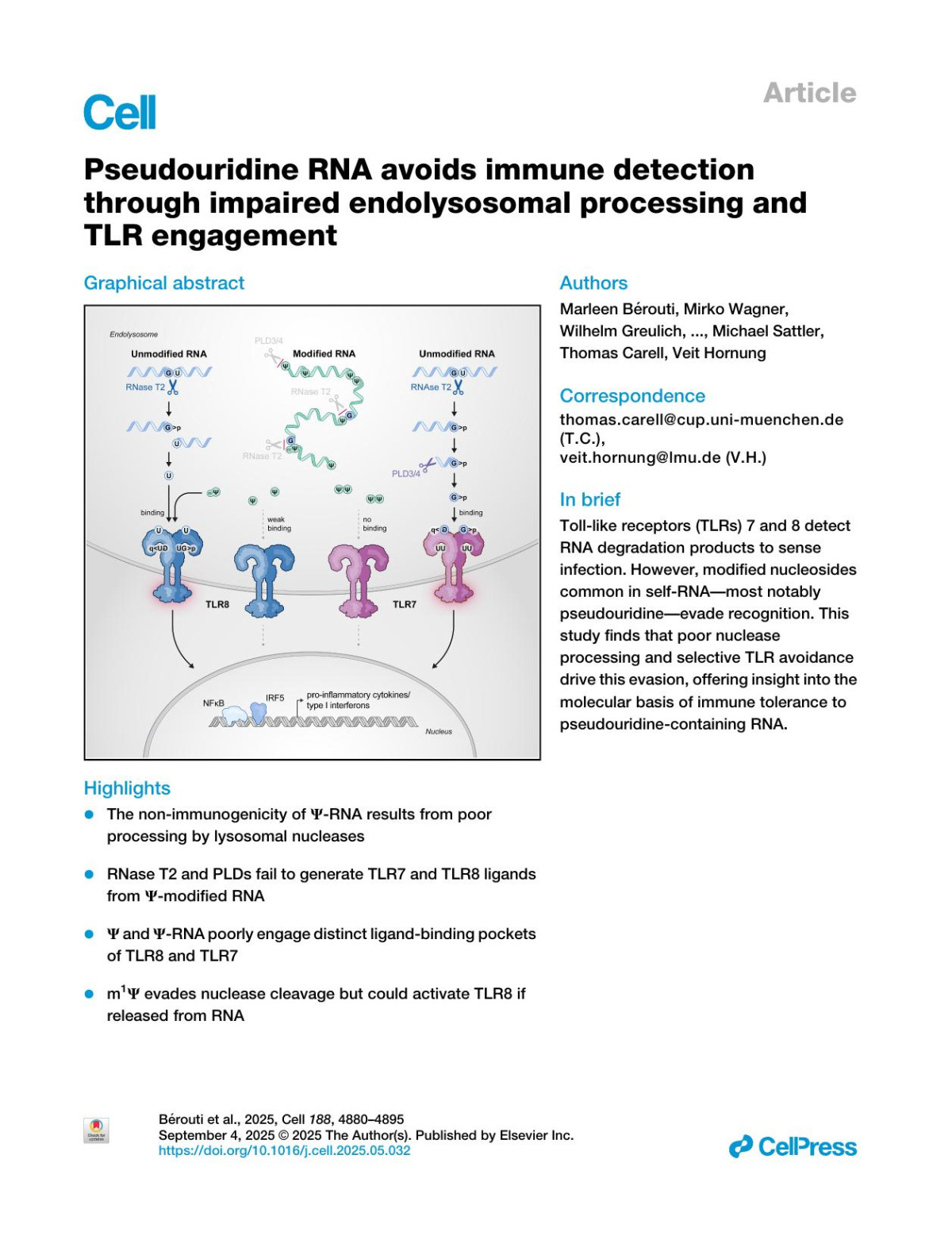 Pseudouridine Rna Avoids Immune Detectionthrough Impaired Endolysosomal Processing Andtlr Engagement Marleen Bérouti Mirko Wagner Wilhelm Greulich Ignazio Piseddu Jan Gärtig Larissa Hansbauer Christoph Müllerhermes Matthias Heiss Alexander Pichler Annika J Tölke Gregor Witte Karlpeter Hopfner David Anz Michael Sattler