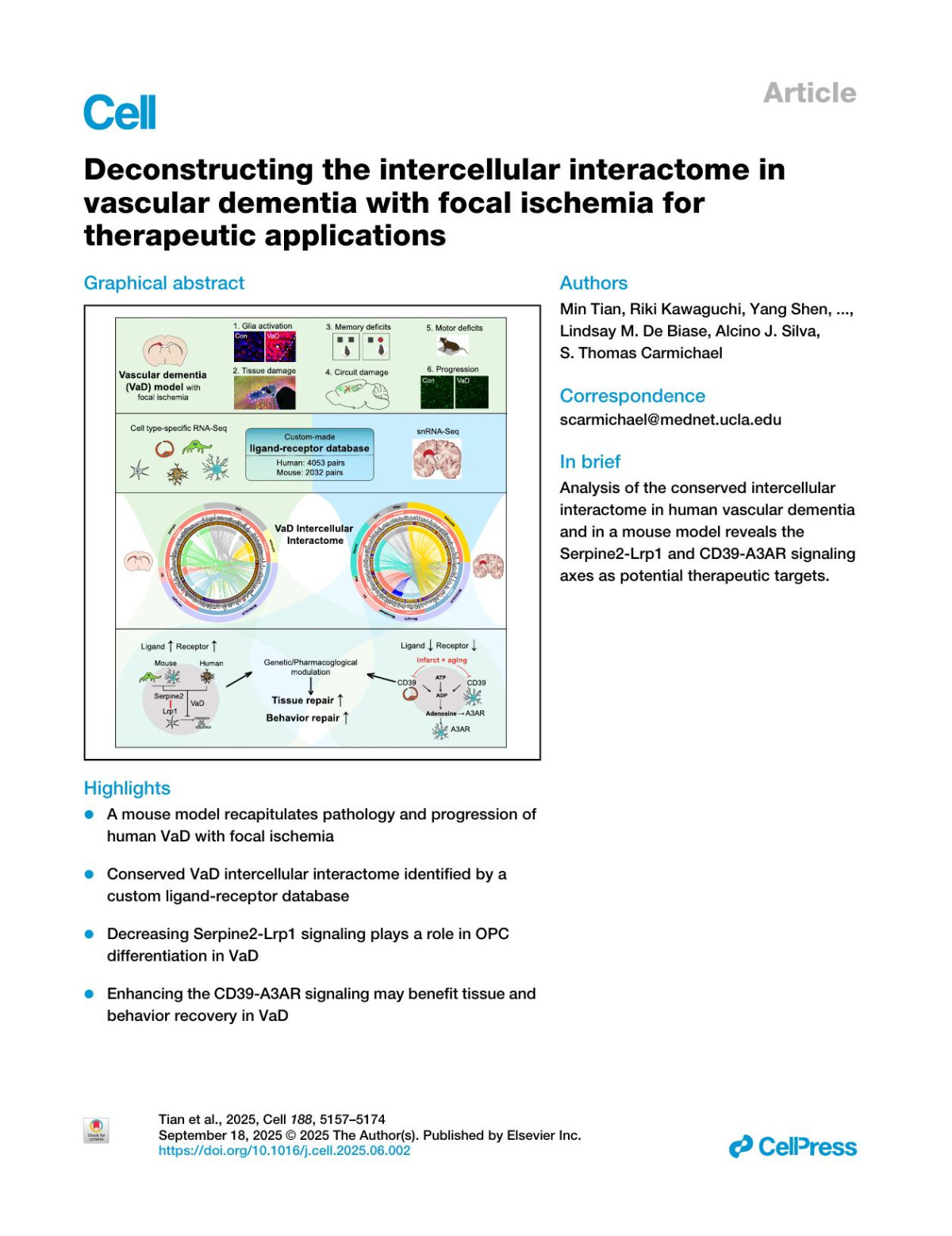 Deconstructing The Intercellular Interactome In Vascular Dementia With Focal Ischemia For Therapeutic Applications Min Tian Riki Kawaguchi Yang Shen Michal Machnicki Nikole G Villegas Delaney R Cooper Natalia Montgomery Ying Cai Jacqueline Haring Ruirui Lan Angelina H Yuan Christopher K Williams Shino Magaki Harry V Vinters Ye Zhang