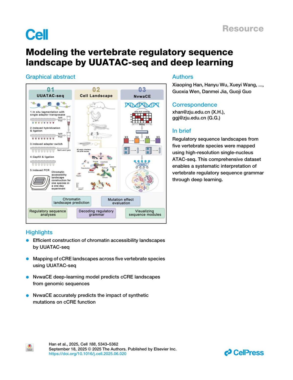 Modeling The Vertebrate Regulatory Sequence Landscape By Uuatacseq And Deep Learning Xiaoping Han Hanyu Wu Xueyi Wang Daiyuan Liu Yuting Fu Lei Yang Renying Wang Peijing Zhang Jingjing Wang Lifeng Ma Jizhong Mao Lina Zhou Siqi Wang Xinlian Zhang Mengmeng Jiang Xinru Wang Guoxia Wen Danmei Jia Guoji Guo