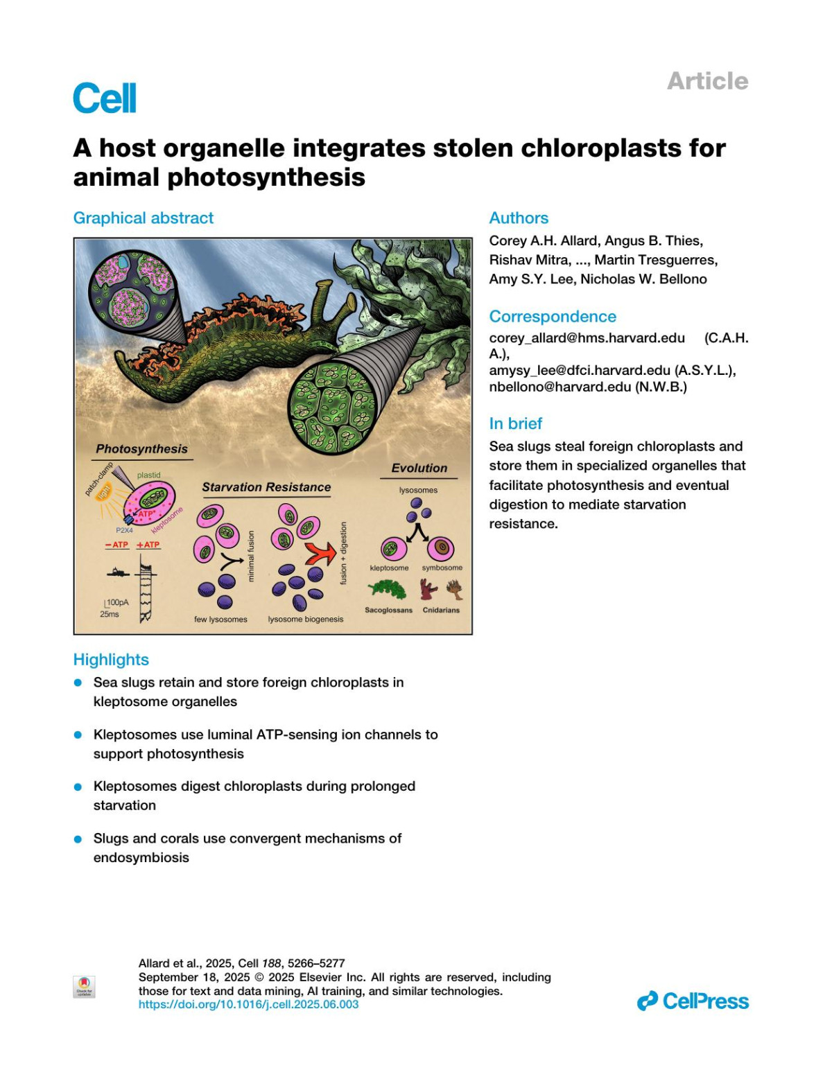 A Host Organelle Integrates Stolen Chloroplasts For Animal Photosynthesis Corey Ah Allard Angus B Thies Rishav Mitra Patric M Vaelli Olivia D Leto Brittany L Walsh Elise Mj Laetz Martin Tresguerres Amy Sy Lee Nicholas W Bellono