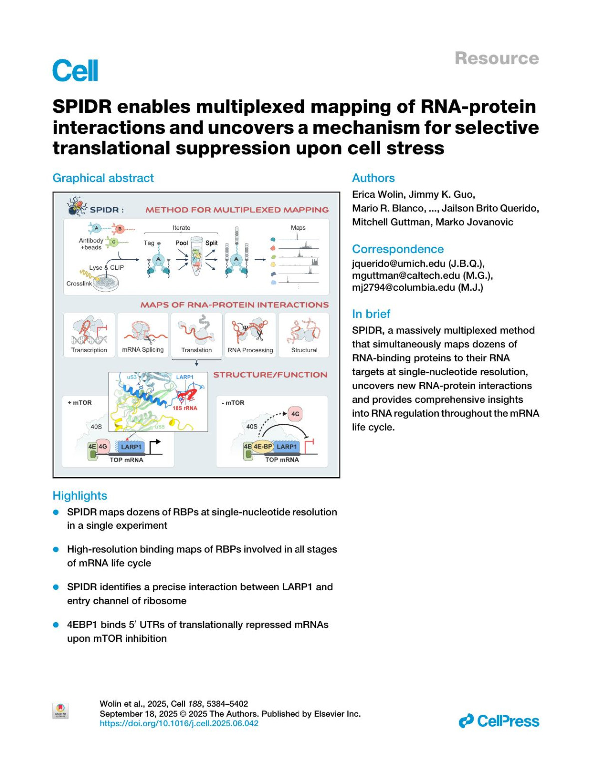 Spidr Enables Multiplexed Mapping Of Rnaprotein Interactions And Uncovers A Mechanism For Selective Translational Suppression Upon Cell Stress Erica Wolin Jimmy K Guo Mario R Blanco Isabel N Goronzy Darvesh Gorhe Wenzhao Dong Andrew A Perez Abdurrahman Keskin Elizabeth Valenzuela Ahmed A Abdou Carl R Urbinati Ross Kaufhold H Tomas Rube Jailson Brito Querido