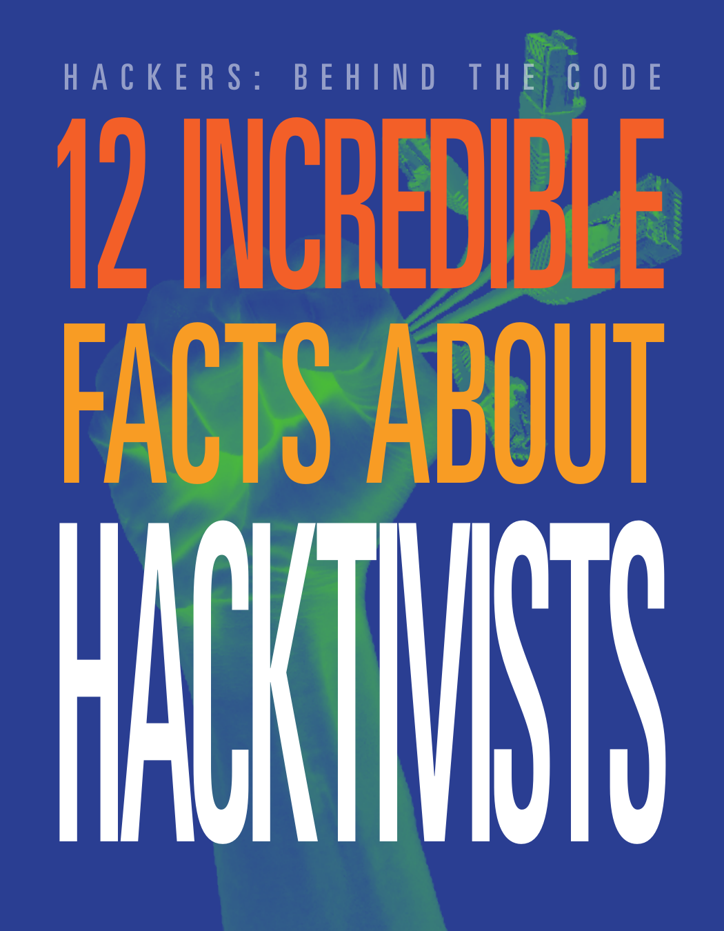 12 Incredible Facts About Hacktivists Meghan Hatalla