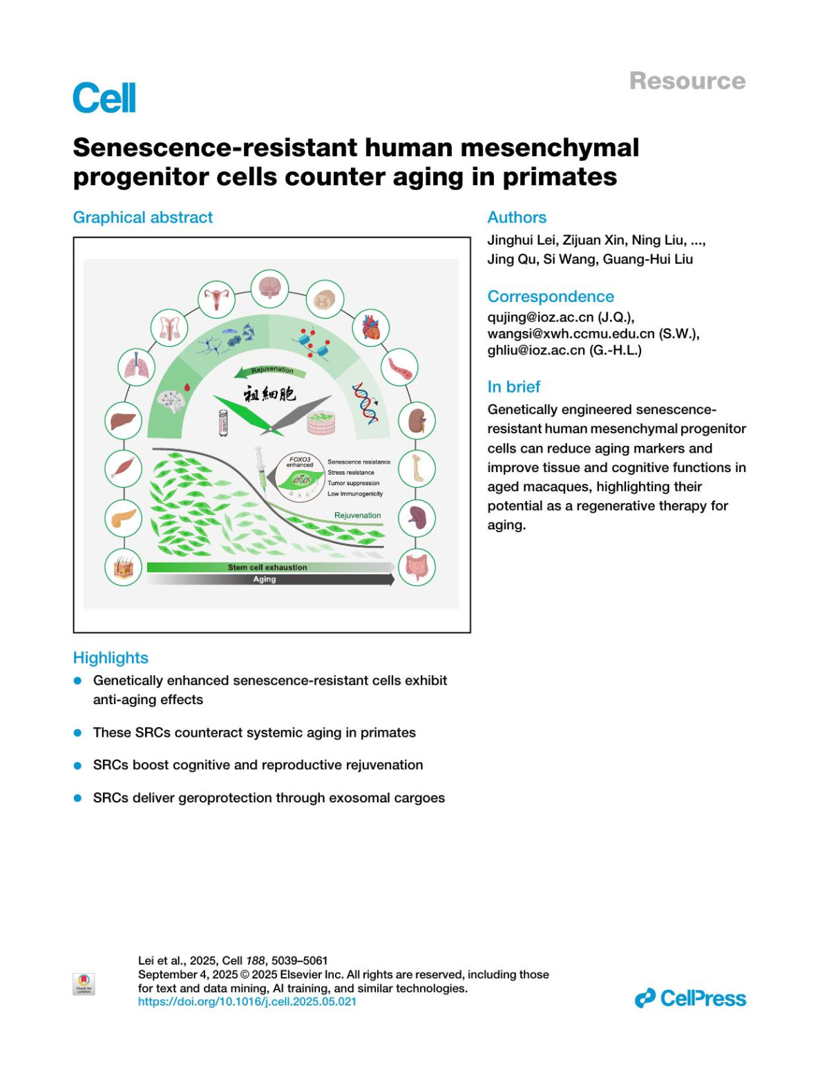 Senescenceresistant Human Mesenchymal Progenitor Cells Counter Aging In Primates Jinghui Lei Zijuan Xin Ning Liu Taixin Ning Ying Jing Yicheng Qiao Zan He Mengmeng Jiang Yuanhan Yang Zhiyi Zhang Liyun Zhao Jingyi Li Dongliang Lv Yupeng Yan Hui Zhang Lingling Xiao Baohu Zhang Haoyan Huang Shuhui