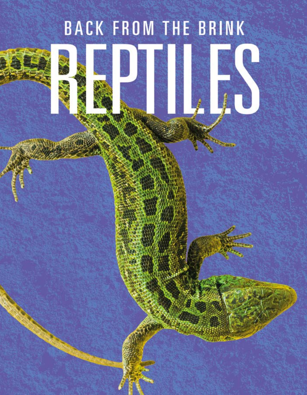 Reptiles Back From The Brink Joanne Mattern