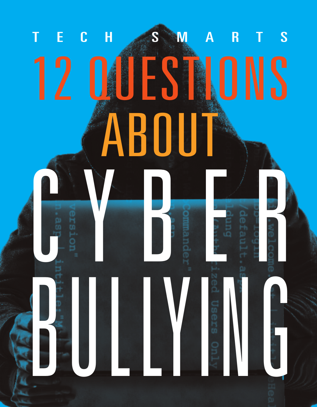 12 Questions About Cyberbullying Marne Ventura