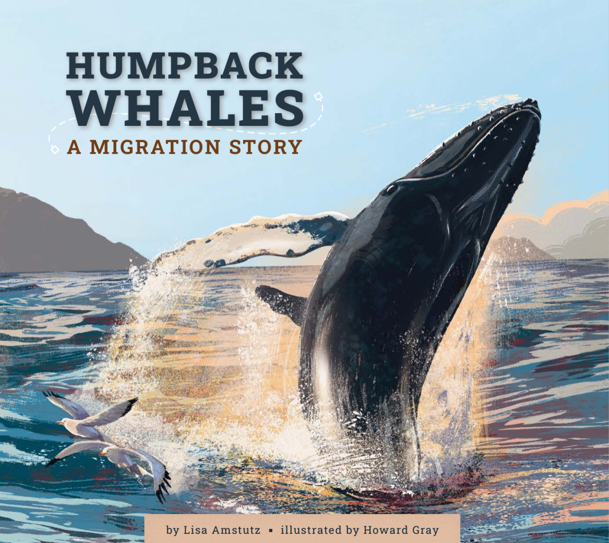 Humpback Whales Lisa Amstutz