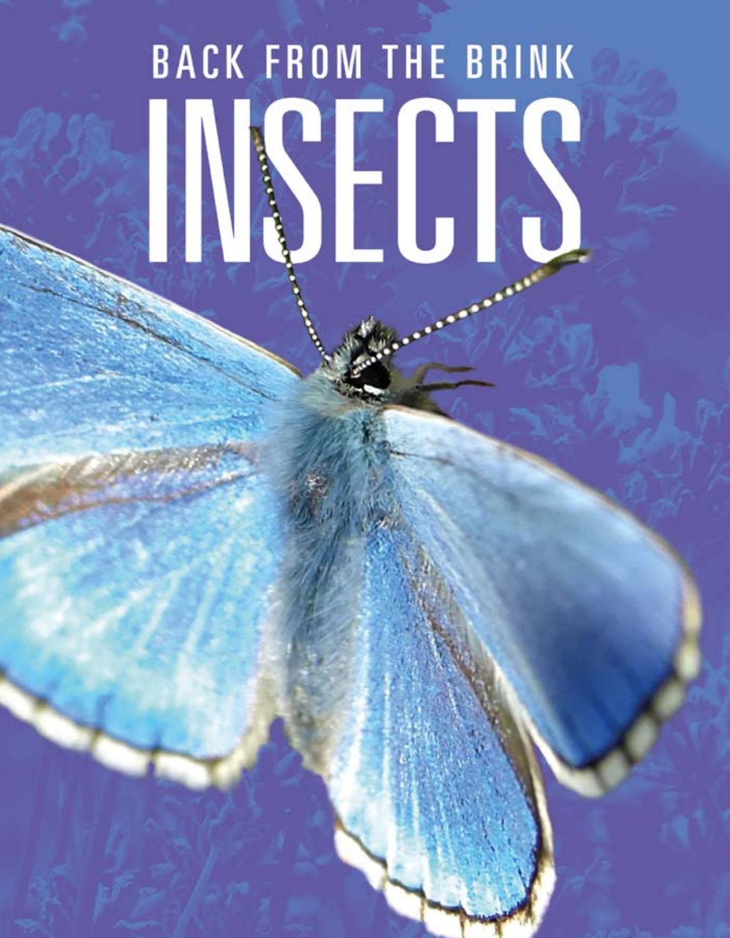 Insects Back From The Brink Joanne Mattern