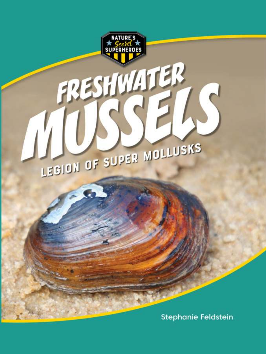 Freshwater Mussels Legion Of Super Mollusks Stephanie Feldstein