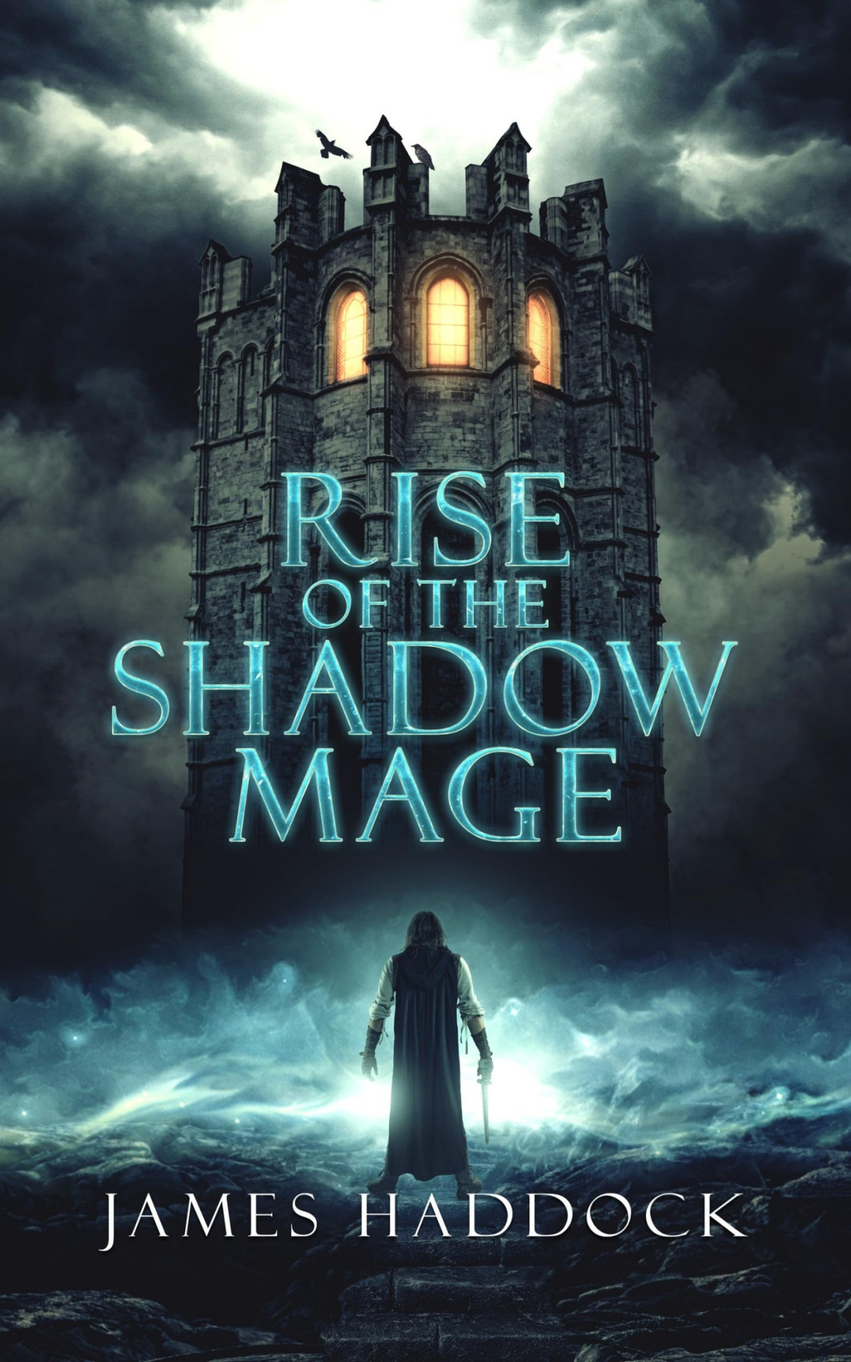 Rise Of The Shadow Mage A Novel James Haddock