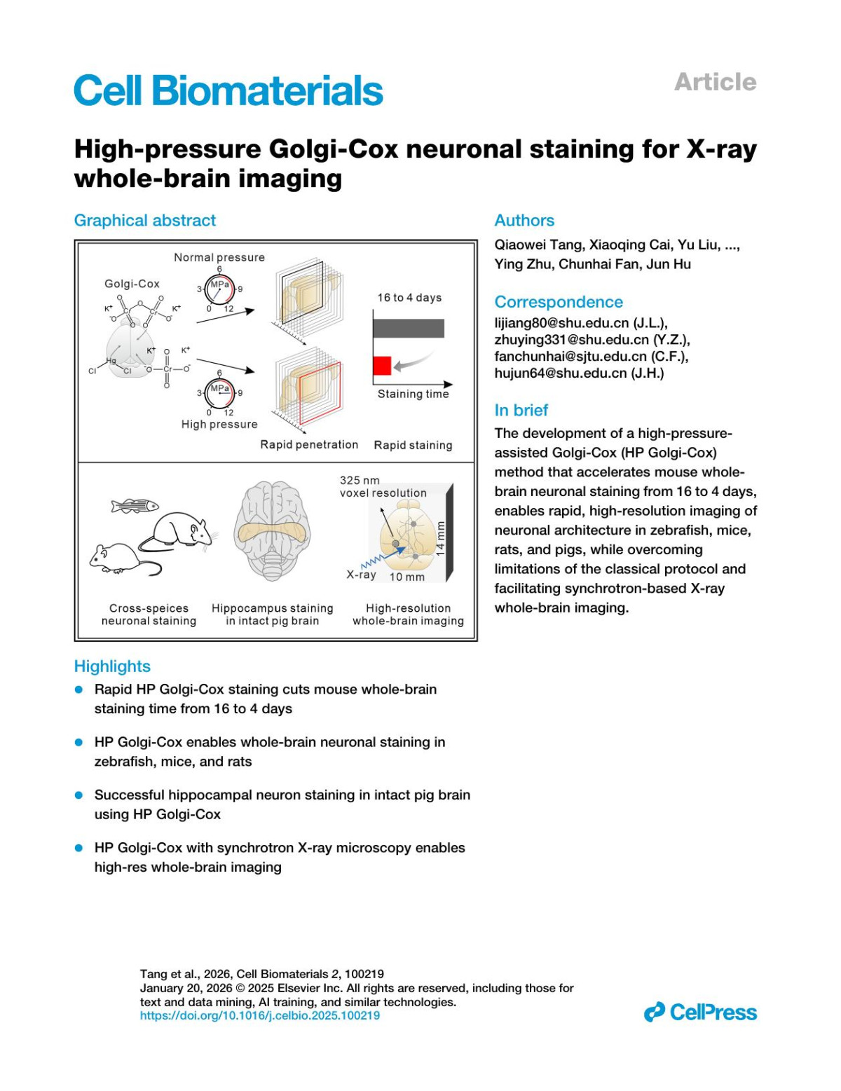 Highpressure Golgicox Neuronal Staining For Xray Wholebrain Imaging Qiaowei Tang Xiaoqing Cai Yu Liu Yu Zhang Xin Yan Feng Zhou Jichao Zhang Qian Li Ke Li Biao Deng Lihua Wang Jiang Li Ying Zhu Chunhai Fan Jun Hu