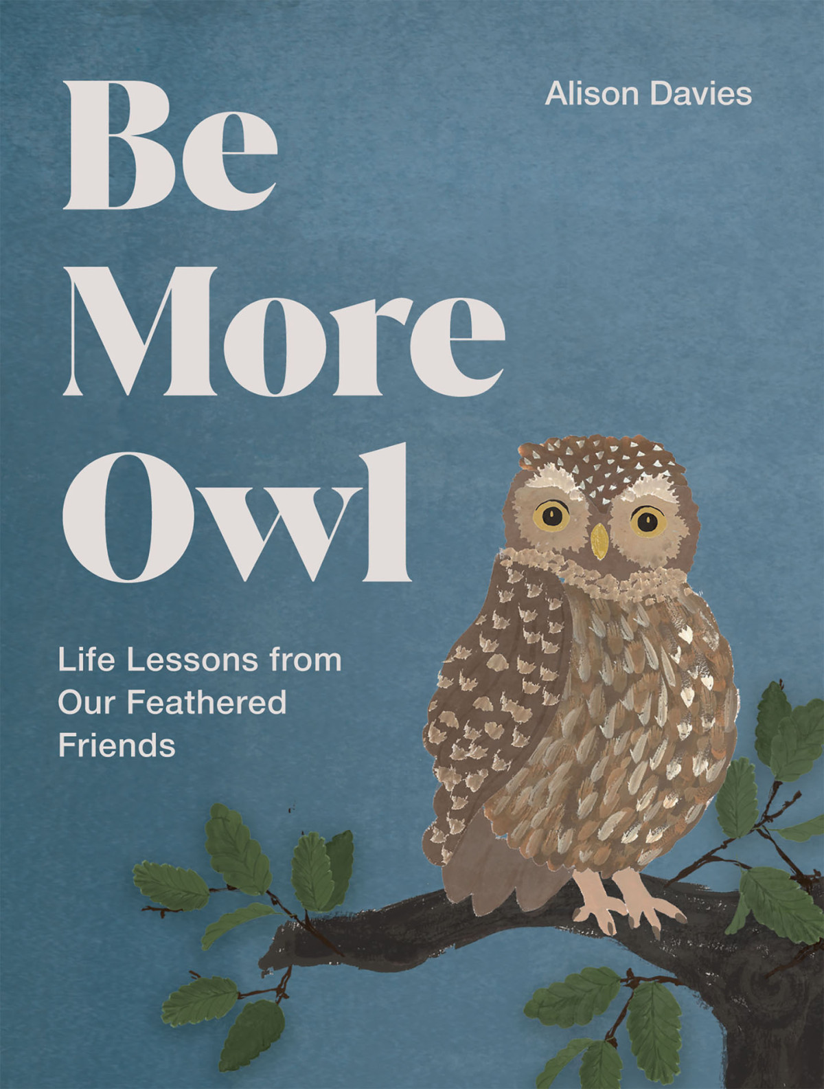 Be More Owl Life Lessons From Our Feathered Friends Alison Davies
