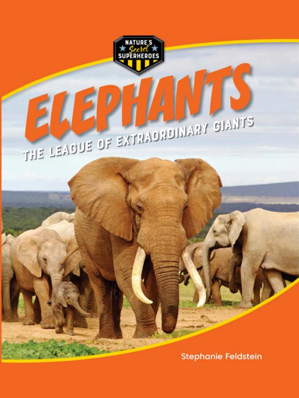 Elephants The League Of Extraordinary Giants Stephanie Feldstein
