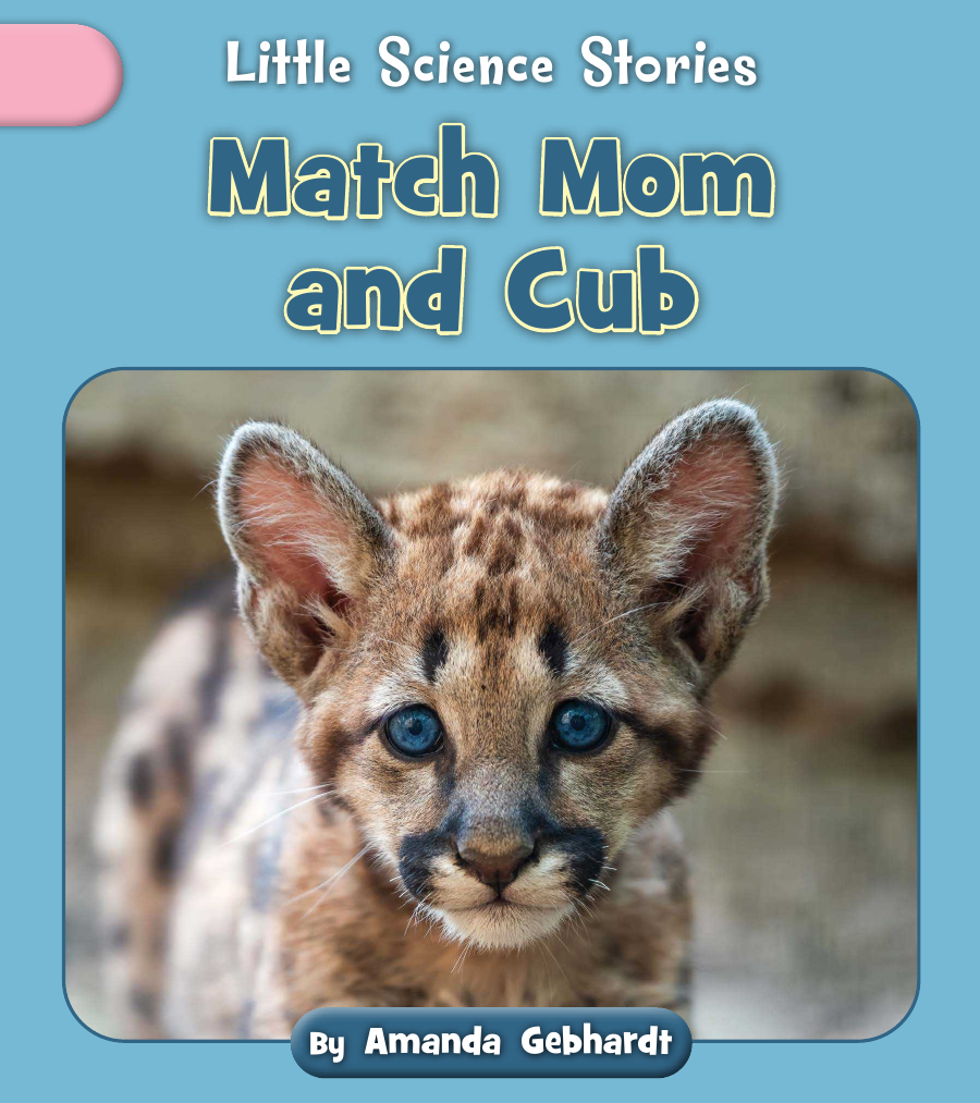 Match Mom And Cub Amanda Gebhardt