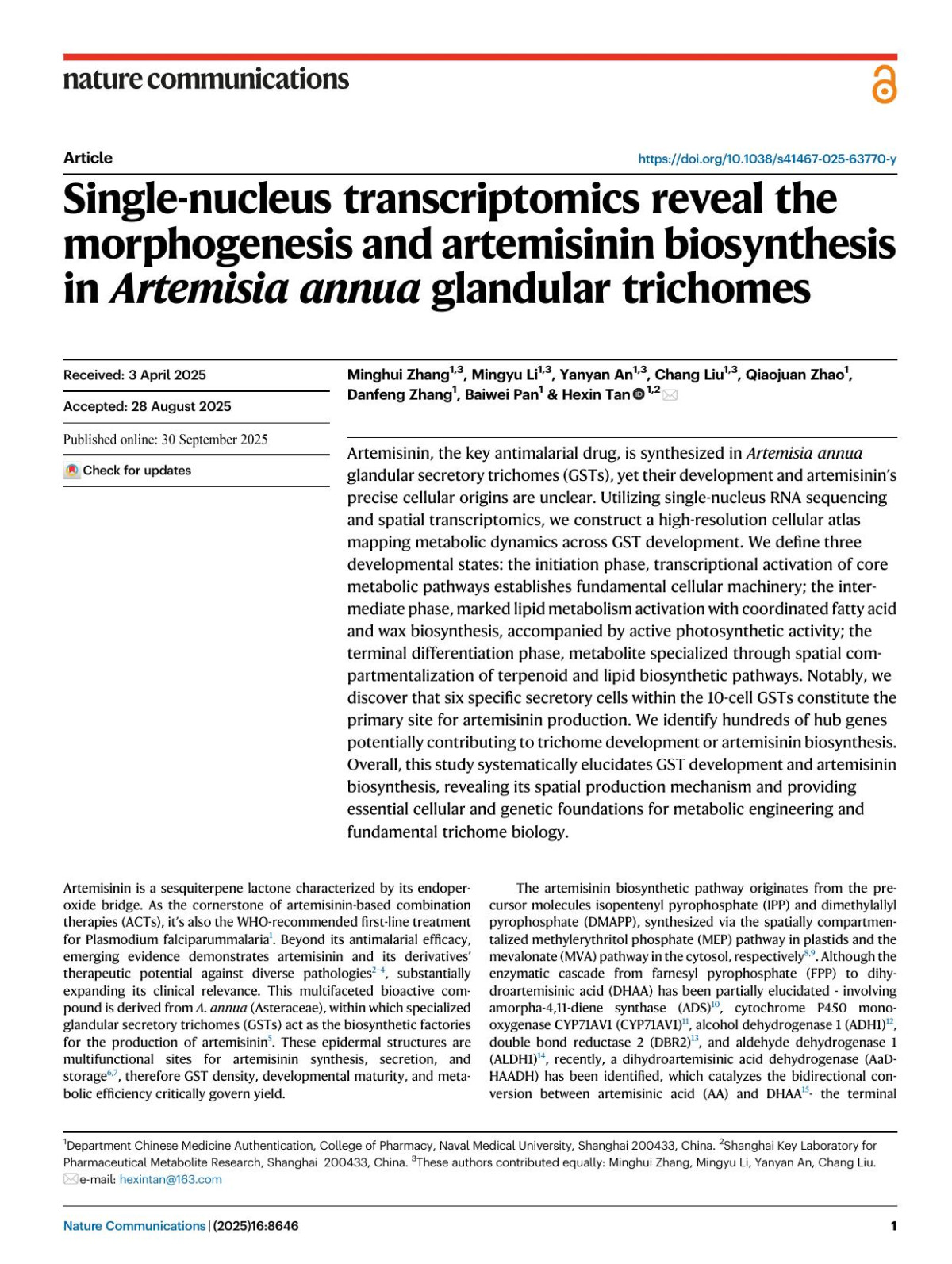 Singlenucleus Transcriptomics Reveal The Morphogenesis And Artemisinin Biosynthesis In Artemisia Annua Glandular Trichomes Minghui Zhang Mingyu Li Yanyan An Chang Liu Qiaojuan Zhao Danfeng Zhang Baiwei Pan Hexin Tan