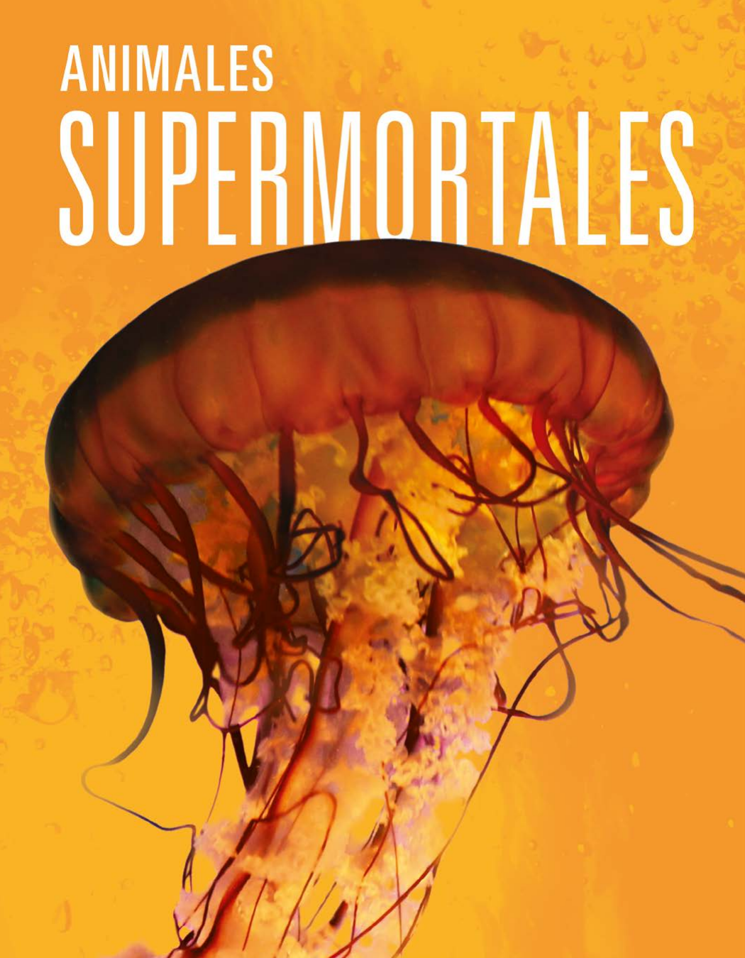 Animales Supermortales Joanne Mattern
