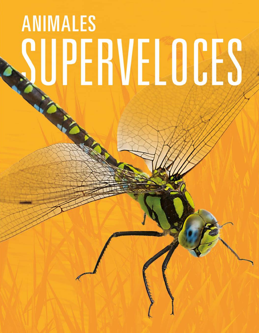 Animales Superveloces Meg Greve