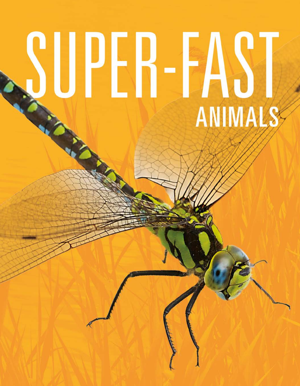 Superfast Animals Meg Greve
