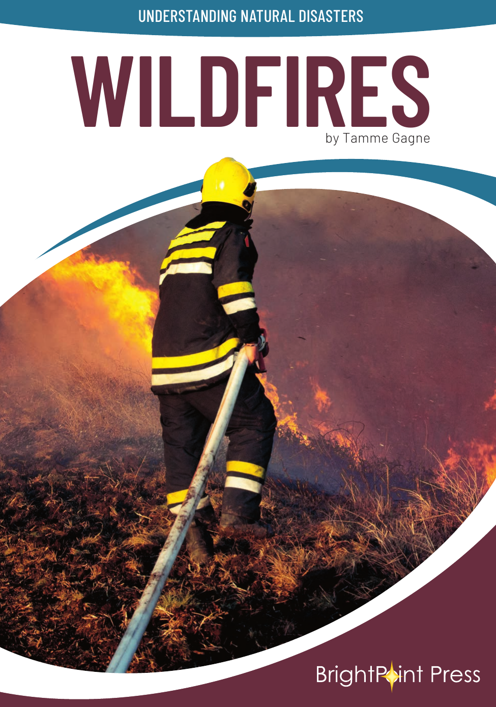 Wildfires Tammy Gagne