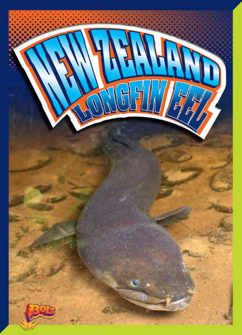 New Zealand Longfin Eel Marysa Storm