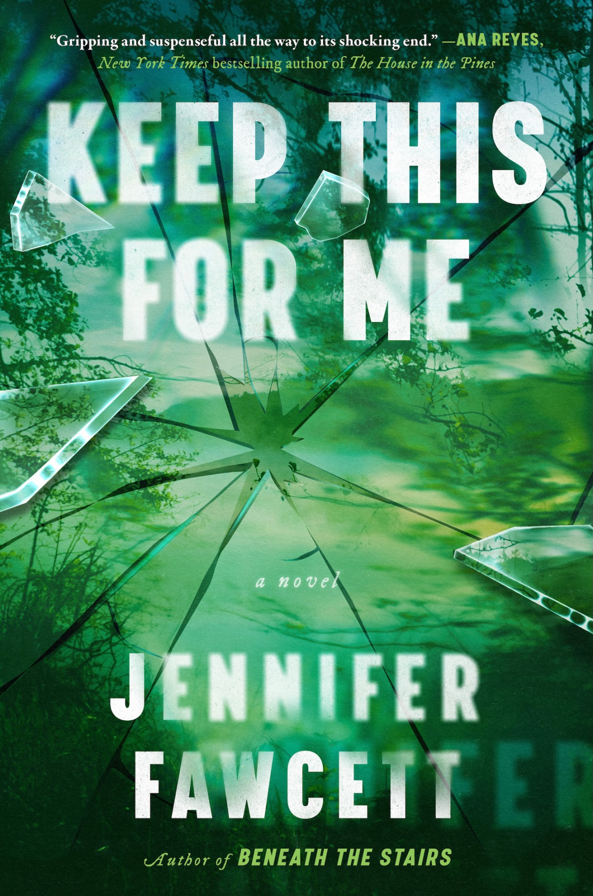 Keep This For Me A Novel Jennifer Fawcett