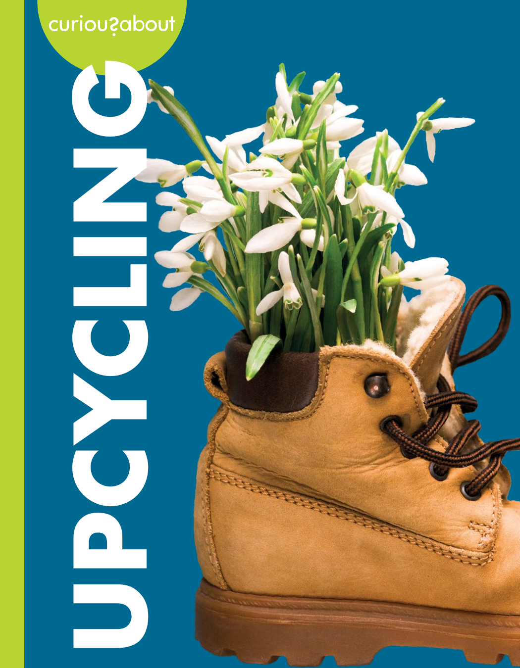 Curious About Upcycling Amy S Hansen