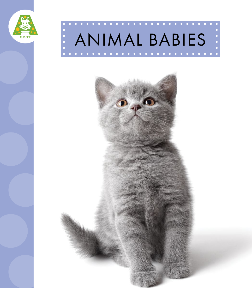Animal Babies Anastasia Suen