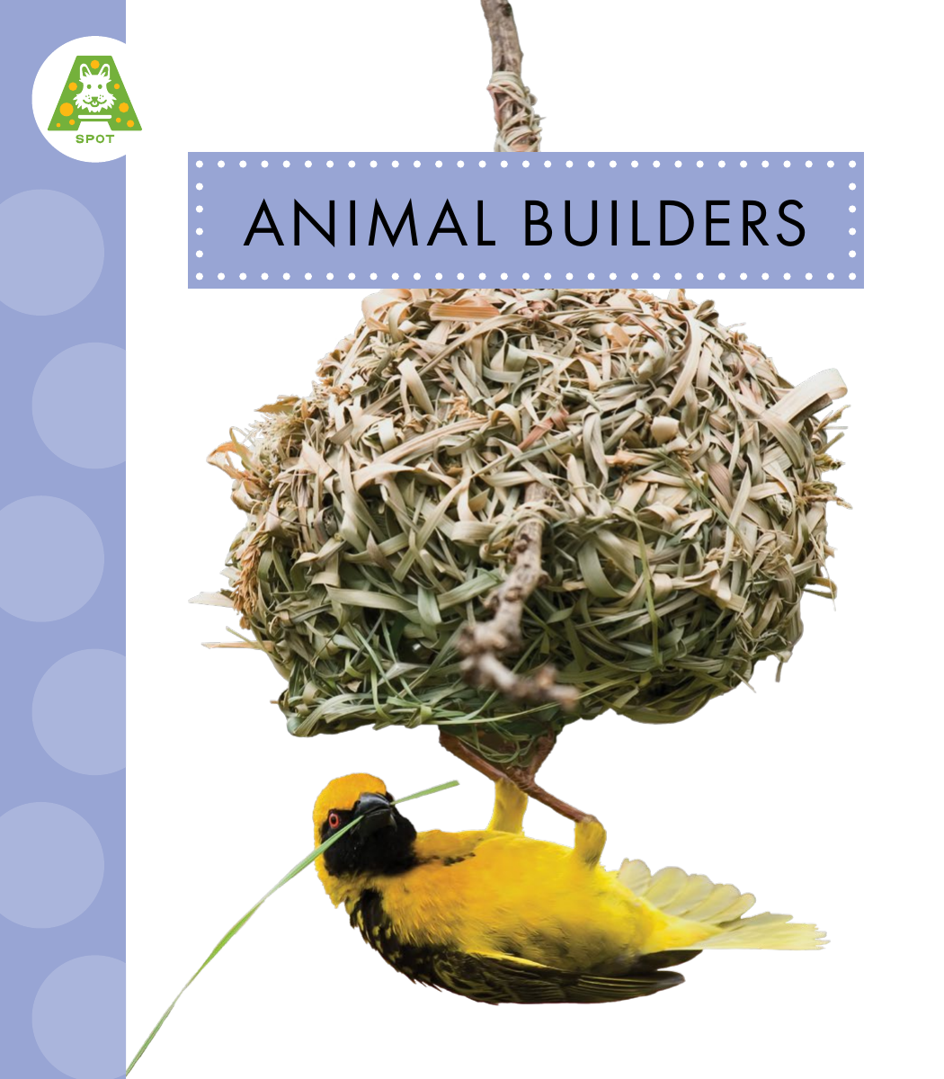 Animal Builders Golriz Golkar