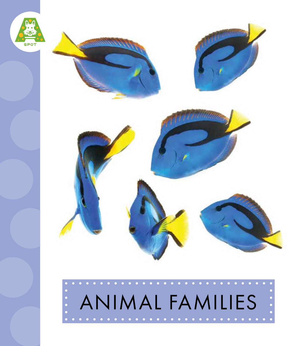 Animal Families Anastasia Suen