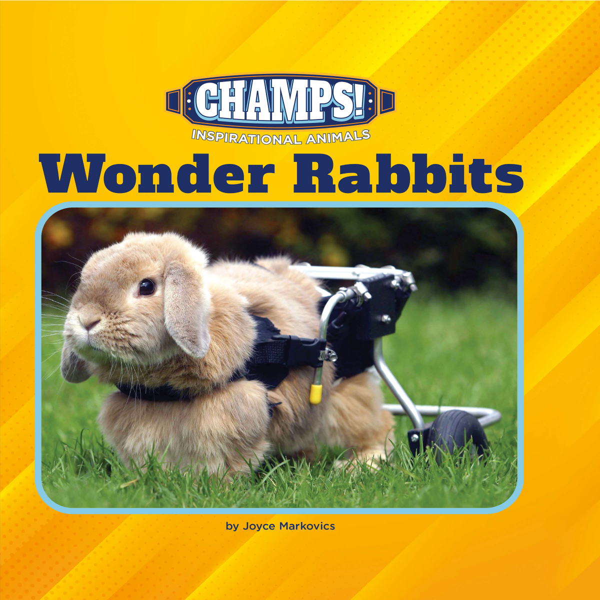 Wonder Rabbits Joyce Markovics