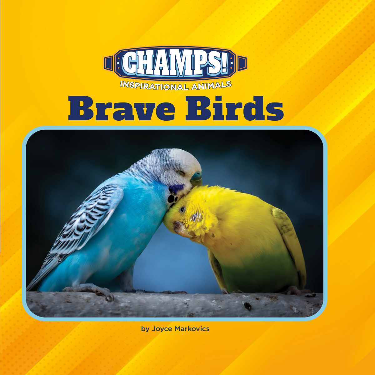 Brave Birds Joyce Markovics