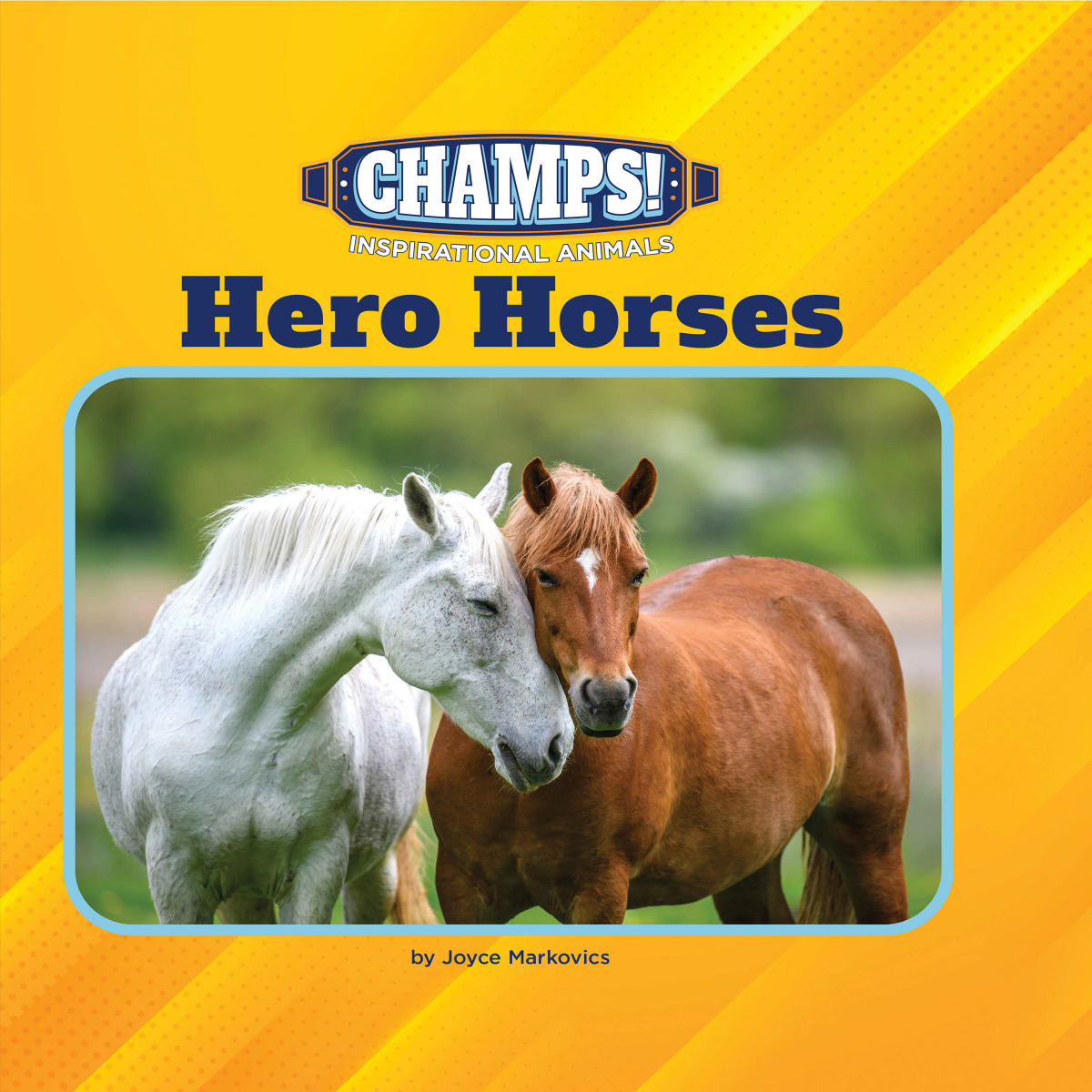 Hero Horses Joyce Markovics