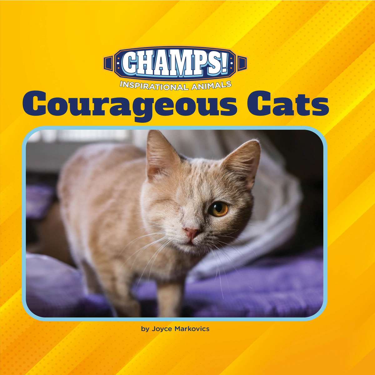 Courageous Cats Joyce Markovics