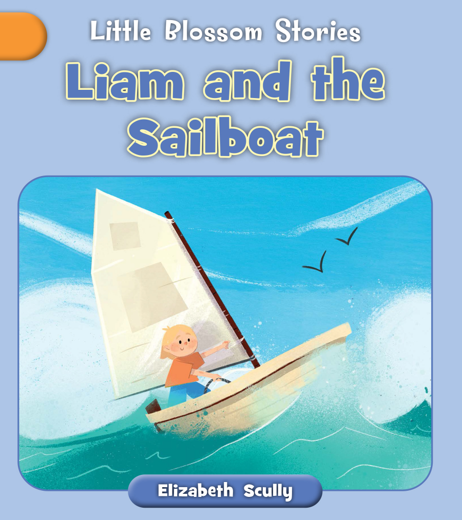 Liam And The Sailboat Elizabeth Scully