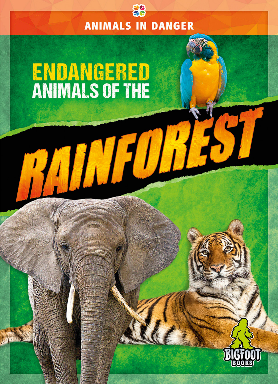 Endangered Animals Of The Grasslands Animals In Danger Series Nonfiction Reading For Grades 25 Bigfoot Books Collection Cynthia Obrien