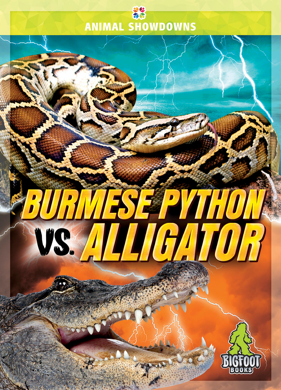 Burmese Python Vs Alligator Cynthia Obrien Cynthia J Obrien