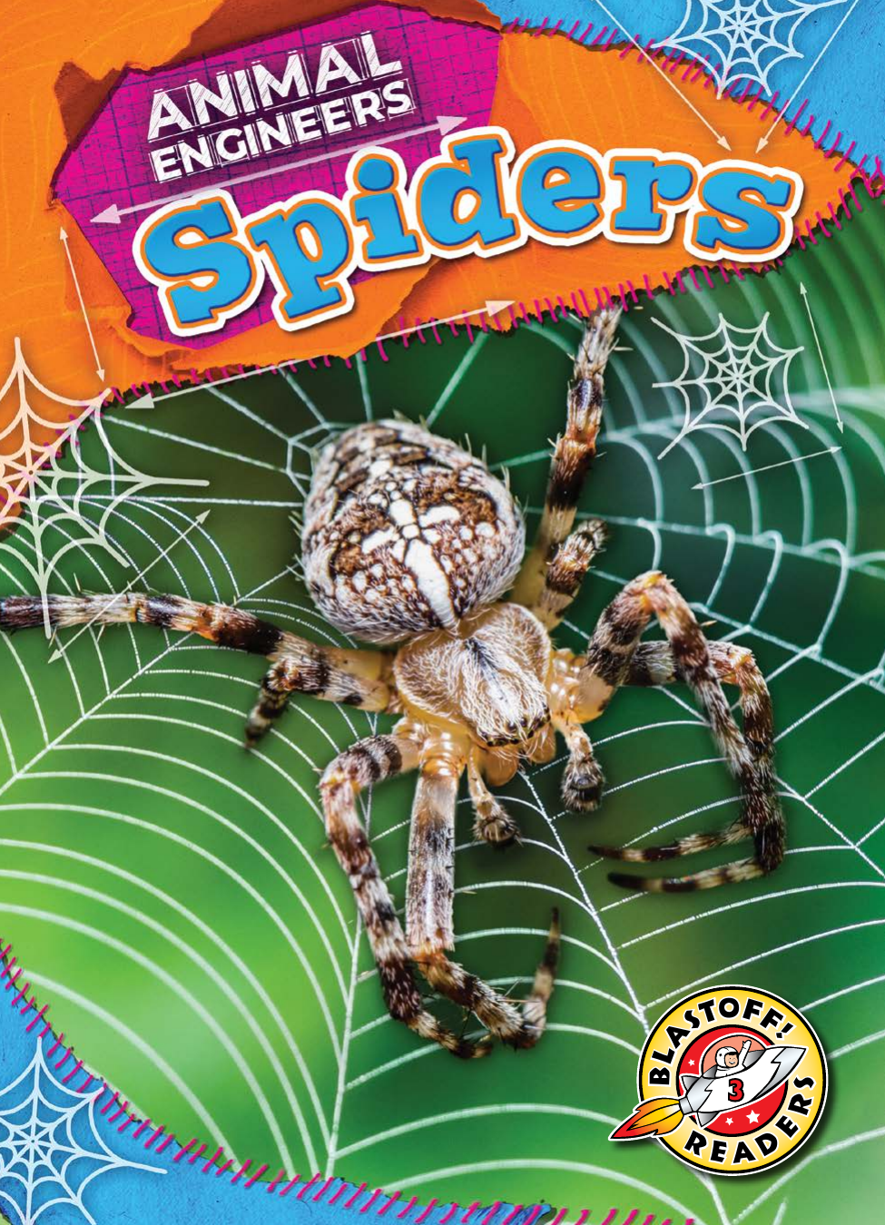 Spiders Rebecca Pettiford