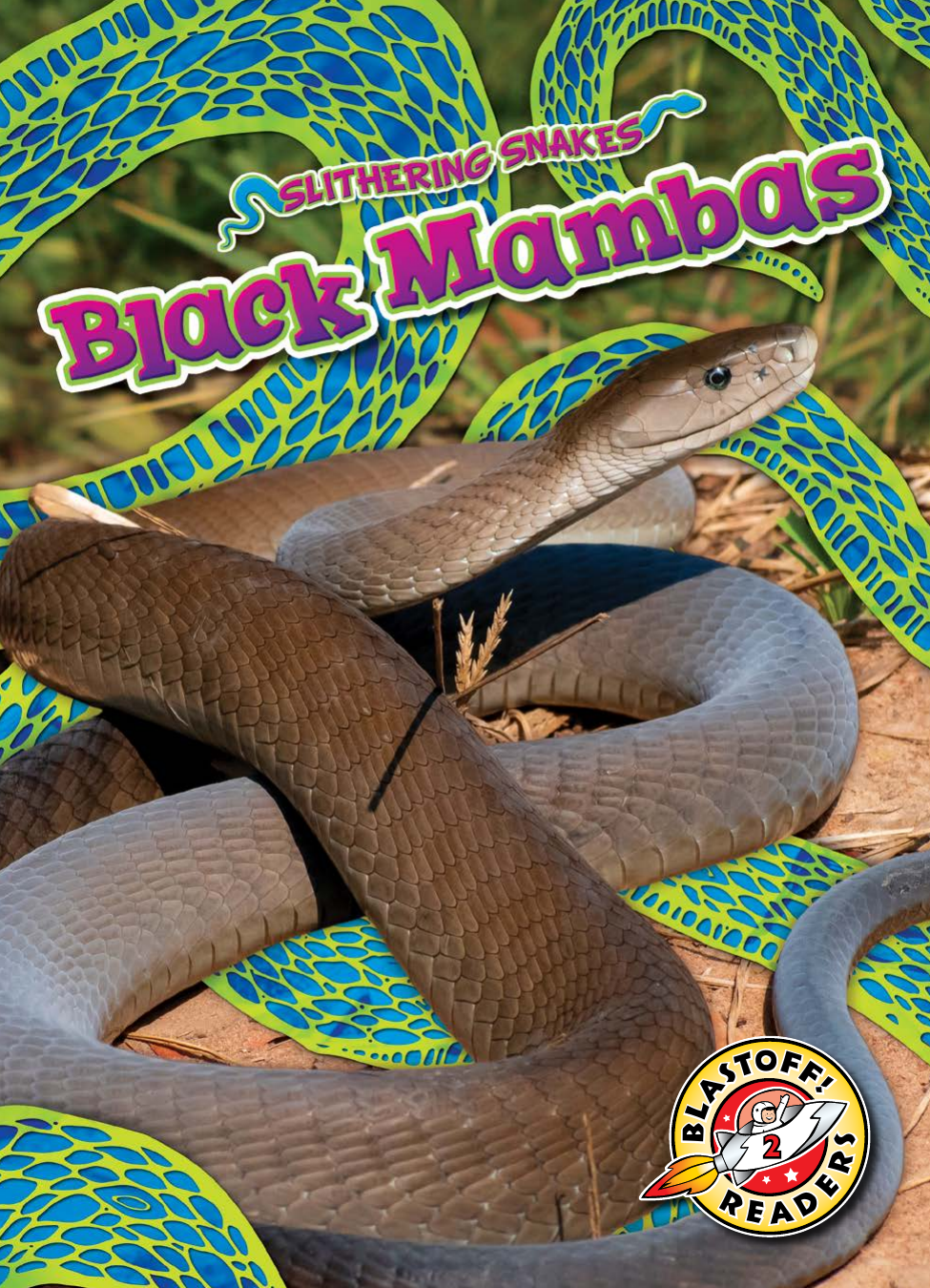 Black Mambas Joanne Mattern