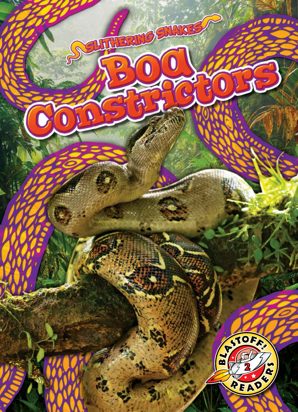 Boa Constrictors Suzane Nguyen