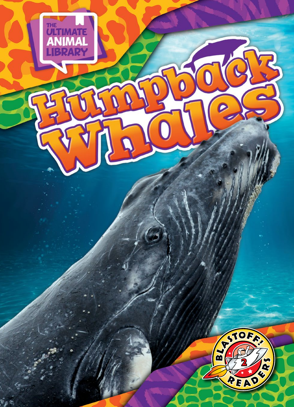 Humpback Whales Janie Scheffer