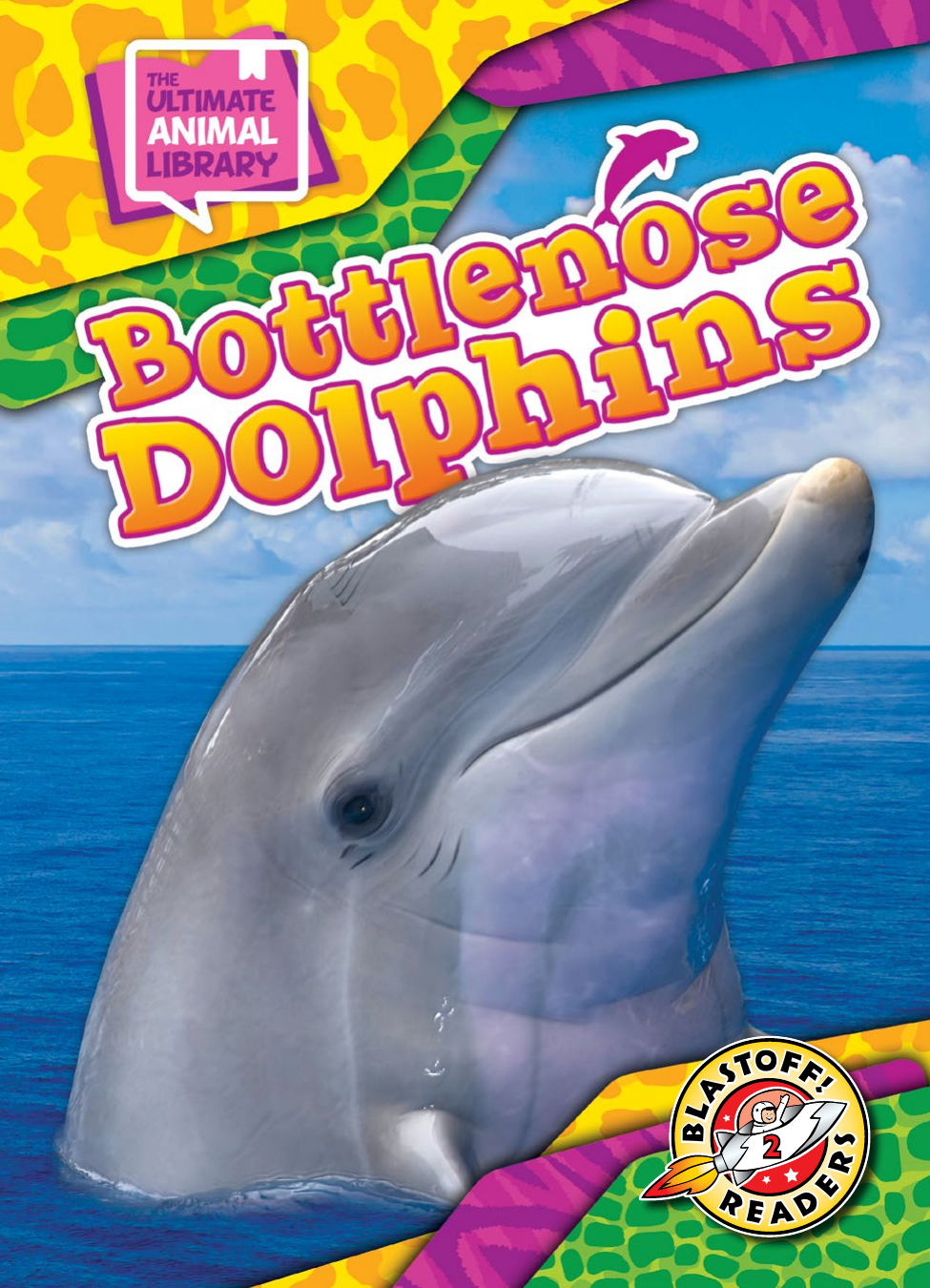 Bottlenose Dolphins Chris Bowman