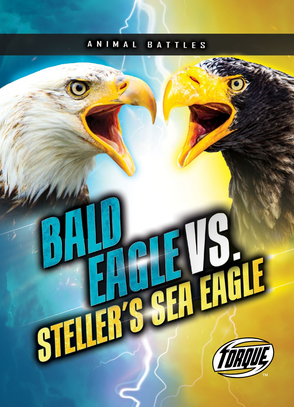 Bald Eagle Vs Stellers Sea Eagle Nathan Sommer