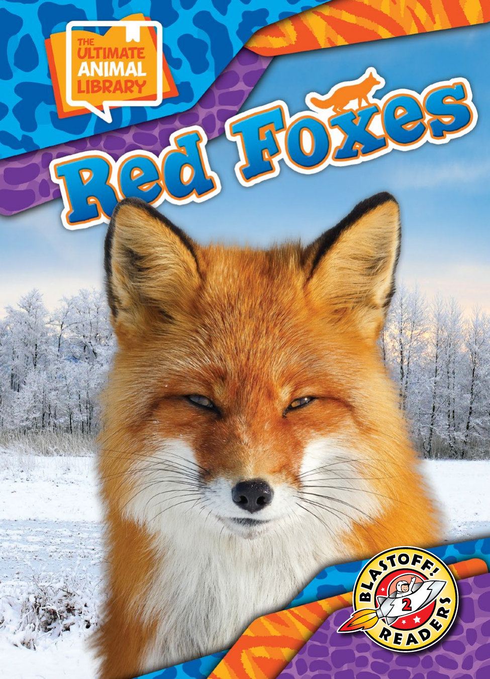 Red Foxes Chris Bowman