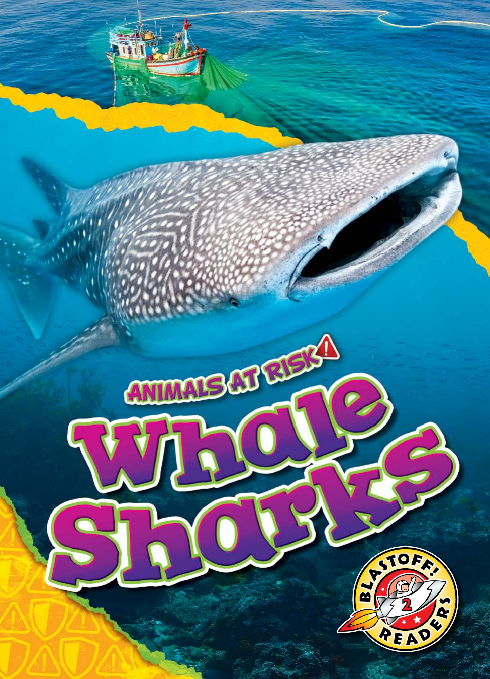 Whale Sharks Rachel Grack