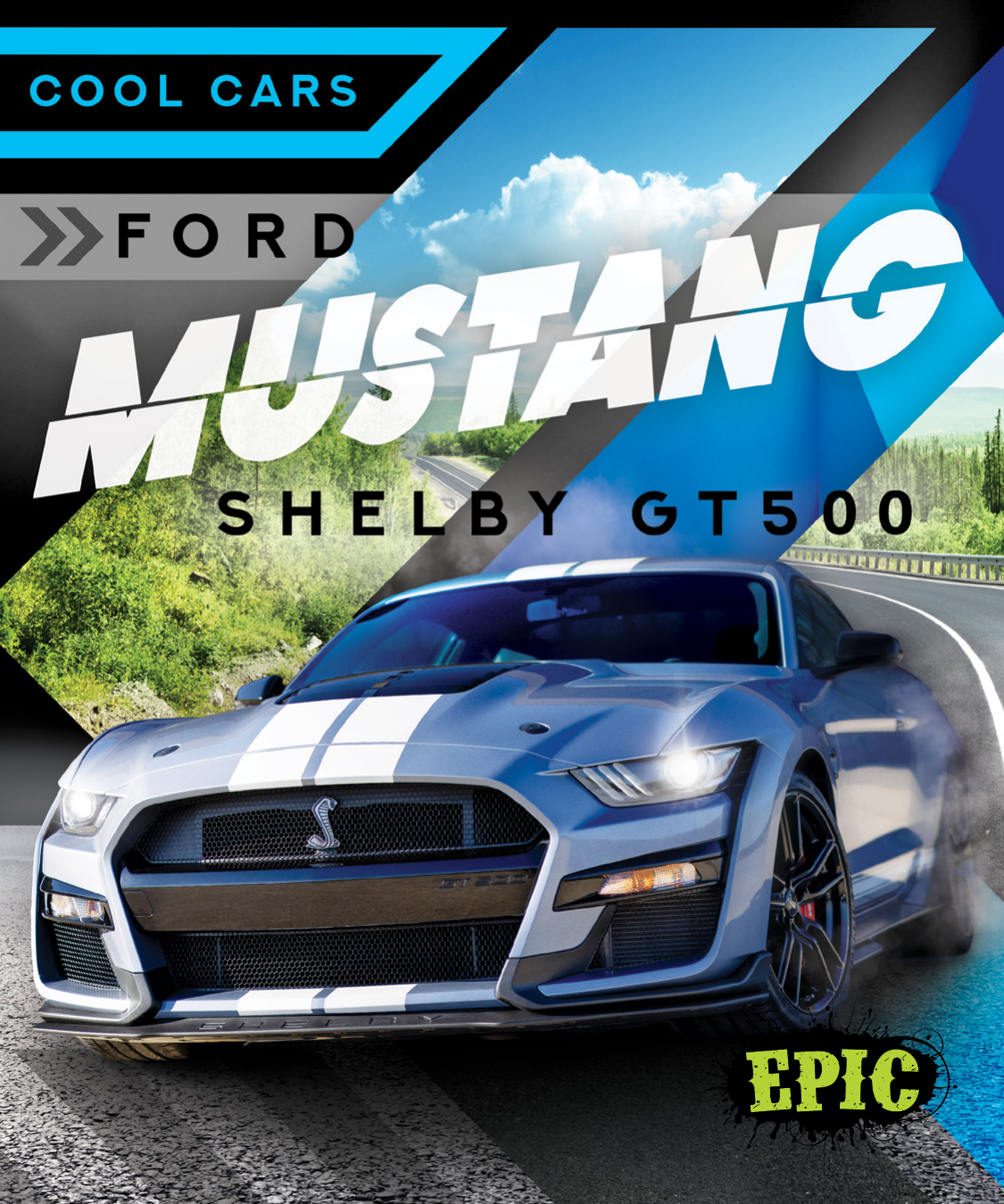 Ford Mustang Shelby Gt500 Kaitlyn Duling