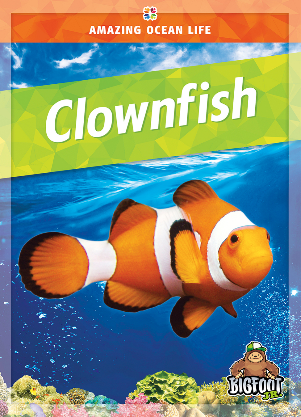 Clownfish Sexton Colleen