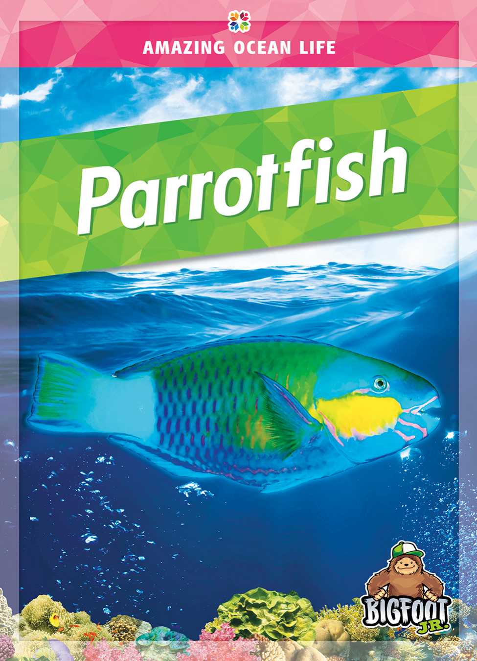 Parrotfish Sexton Colleen